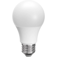 A-Shape LED Bulbs