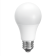 A19 LED Bulbs