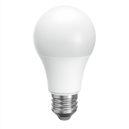 A19 LED Bulbs