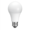 A19 LED Bulbs