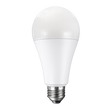 A21 LED Bulbs
