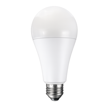 A21 LED Bulbs