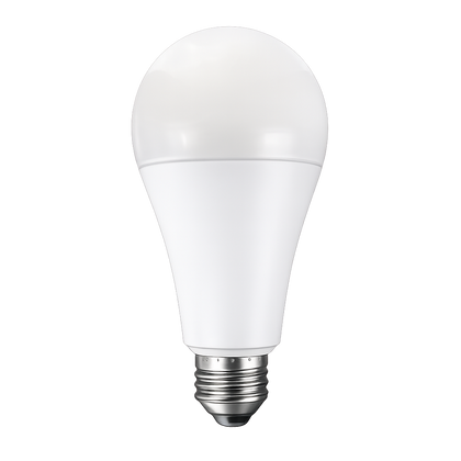 A21 LED Bulbs