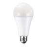 A21 LED Bulbs
