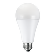 A23 LED Bulbs