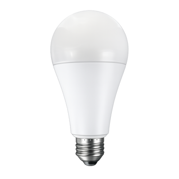 A23 LED Bulbs