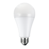 A23 LED Bulbs