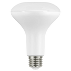 BR LED Bulbs