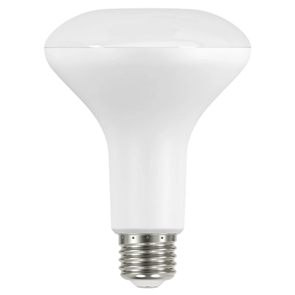 BR LED Bulbs