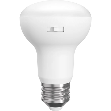 BR20 LED Bulbs