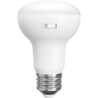 BR20 LED Bulbs