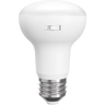 BR20 LED Bulbs