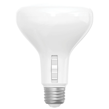 BR30 LED Bulbs