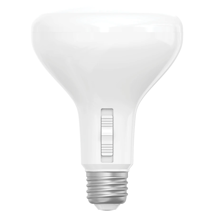 BR30 LED Bulbs