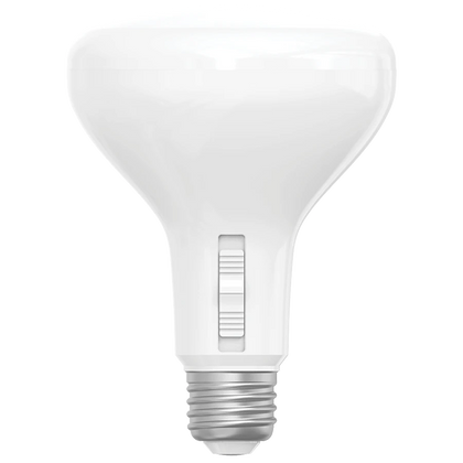 BR30 LED Bulbs