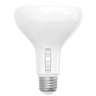 BR30 LED Bulbs