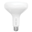BR40 LED Bulbs