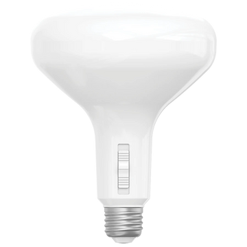 BR40 LED Bulbs