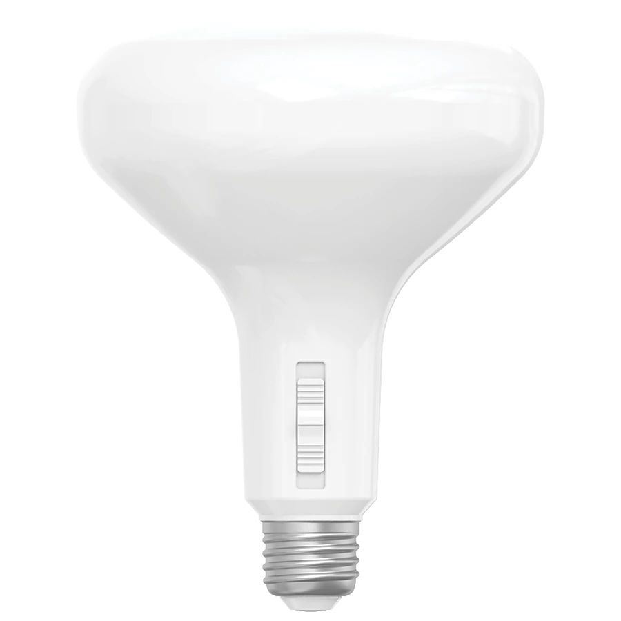 BR40 LED Bulbs