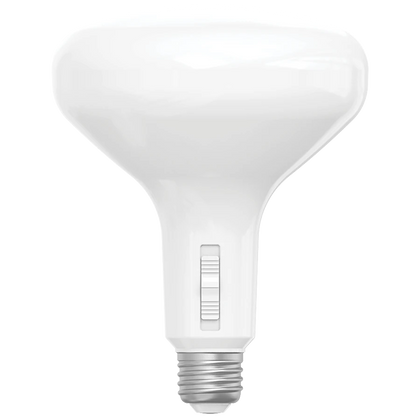 BR40 LED Bulbs