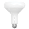 BR40 LED Bulbs
