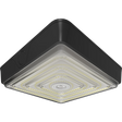 Canopy Lights