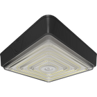 Canopy Lights