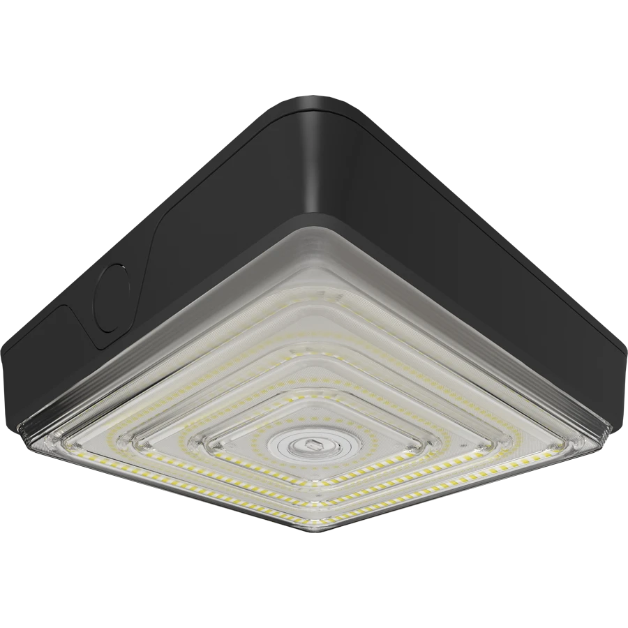 Canopy Lights