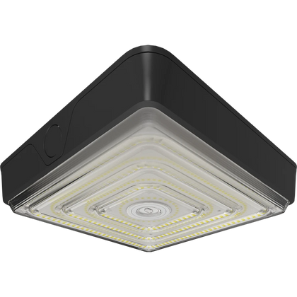 Canopy Lights