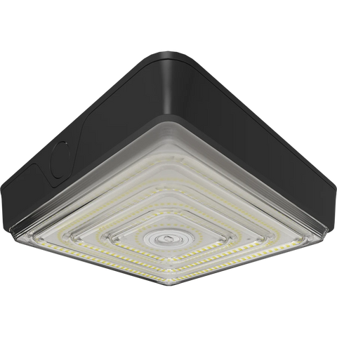 Canopy Lights