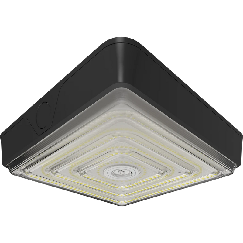 Canopy Lights