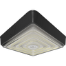 Canopy Lights
