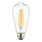 LED Edison Bulbs