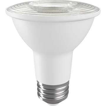 PAR20 LED Bulbs