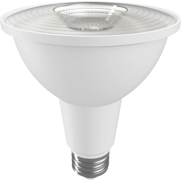 PAR30 LED Bulbs