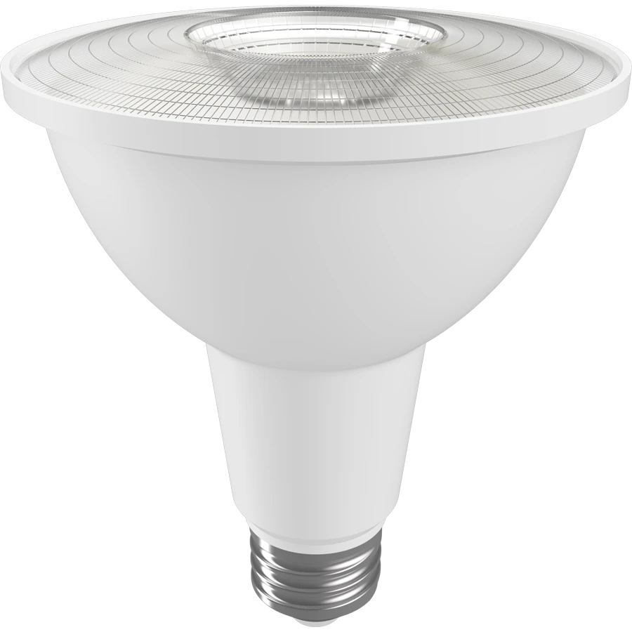 PAR30 LED Bulbs