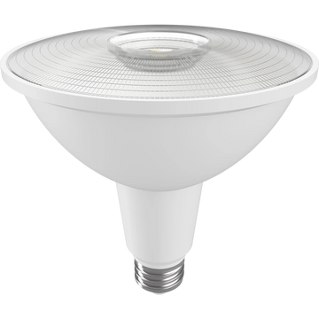 PAR38 LED Bulbs