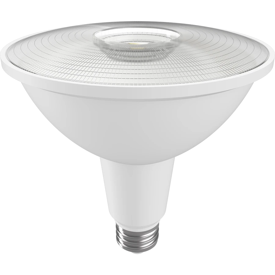 PAR38 LED Bulbs