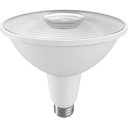 PAR38 LED Bulbs