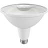 PAR38 LED Bulbs