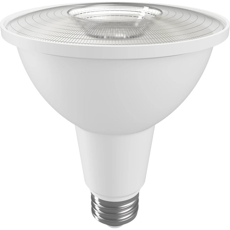 RAB LED Light Bulbs