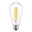 ST19 LED Bulbs