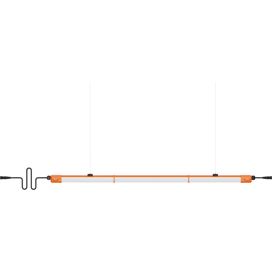Temporary Strip Lights