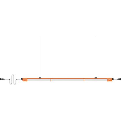 Temporary Strip Lights