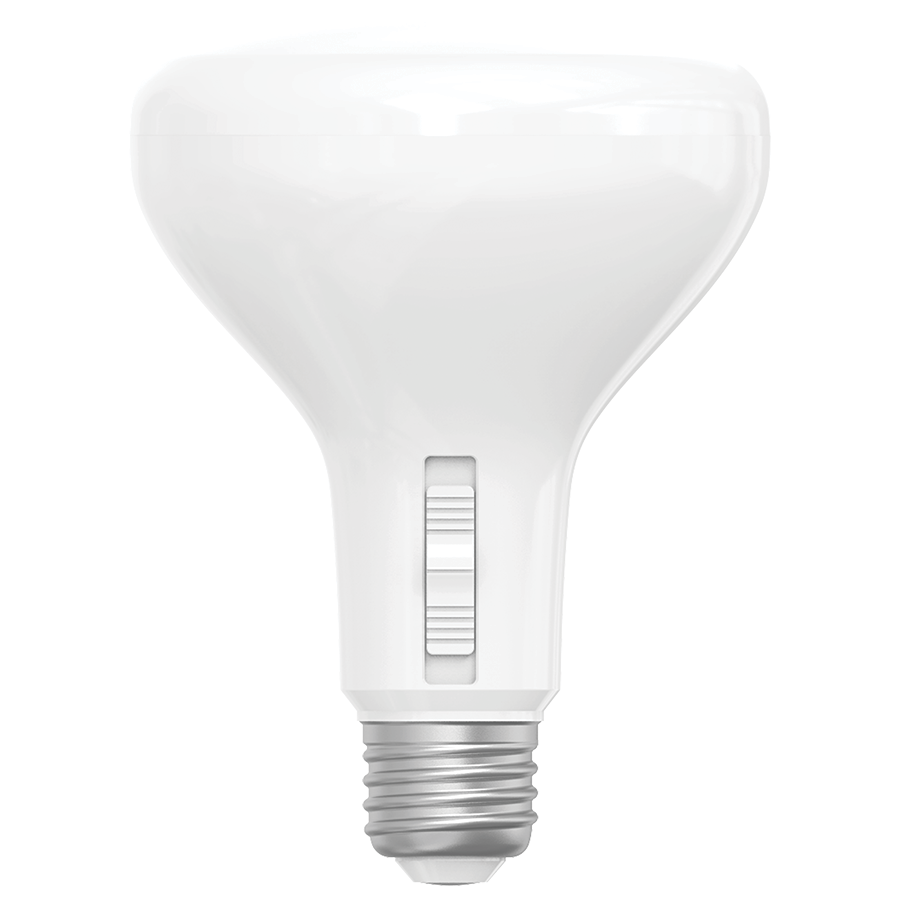 RAB BR30-19-9CCT-DIM BR30 LED Flood Bulb – 19W – 150W Equivalent – Selectable 2700K/3000K/3500K/4000K/5000K – CRI90 – Dimmable – 2200 Lumens – 120V