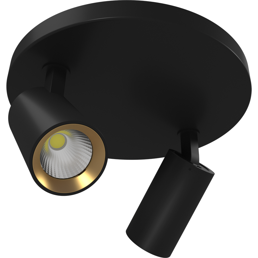 RAB COL12SM2B COLUMN Round Ceiling Spotlight – Dual Head – Selectable 3000K/4000K/5000K – 1066-1126 Lumens – 120V – 36° Beam Angle – Black Finish