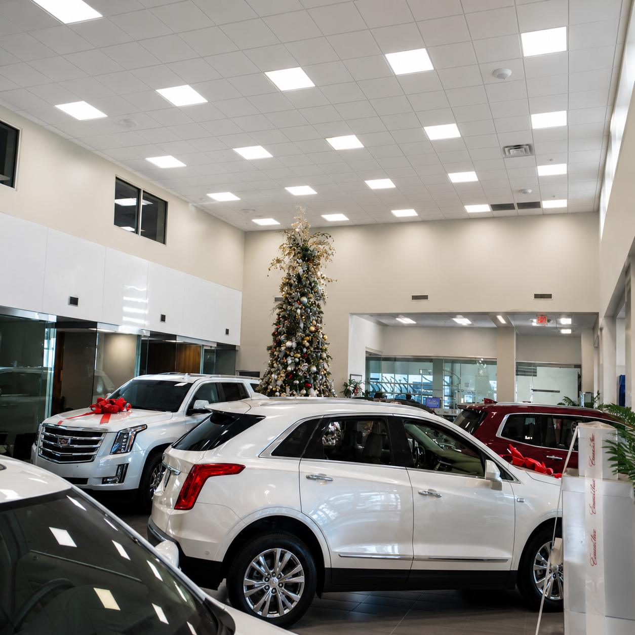 Automotive showroom illuminated with commercial LED lighting