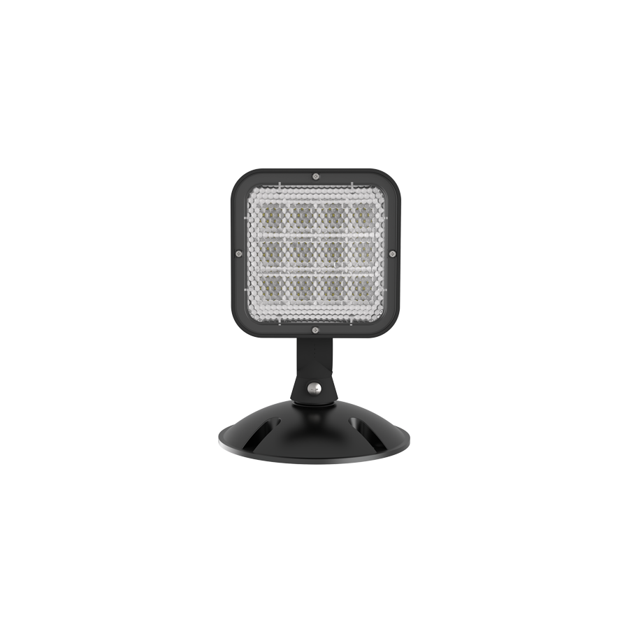 RAB EREMOTEOUT-1B Outdoor Remote Head – Single Head – 3.6-15V – Black Housing – 90 Lumens