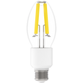 RAB FHID-15-E26-850 FHID Filament HID LED Lamp – ED17 – 15W – 5000K – E26 Medium Base – CRI80 – 120-277V – 2700 Lumens