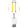 RAB FHID-20-E26-850 FHID Filament HID LED Lamp – ED23.5 – 20W – 5000K – E26 Medium Base – CRI80 – 120-277V – 3600 Lumens
